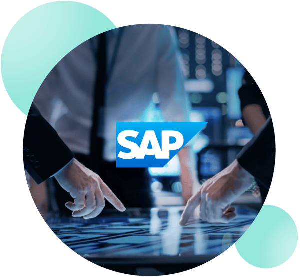 SAP visual data 3
